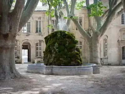 Hôtel Cloitre Saint Louis Avignon - 44