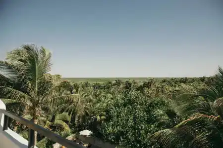 Chiringuito Tulum - 29