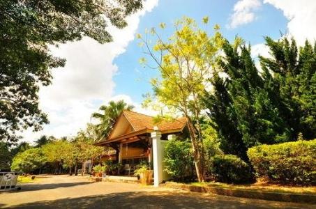 Krabi Flora - 5