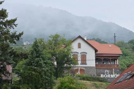 Bonvino Badacsony - 18