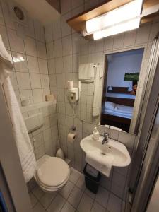 Pension Haus Diefenbach - 14