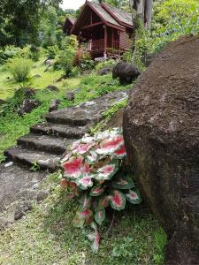 Phanom Bencha Mountain Resort - 4