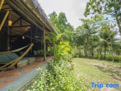 Mango Bay Resort - 202