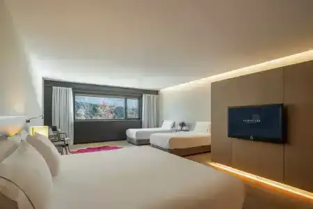 Alma Pamplona - 54
