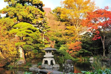 Yoshiike Ryokan - 43