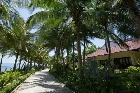 Diamond Bay Resort & Spa - 255