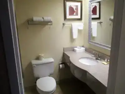 Budgetel Inns & Suites - Atlanta Galleria Stadium - 7