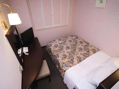 Hamamatsu - 4