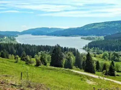 Hochschwarzwald-Hof - 17