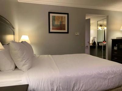 Best Western Plus - 58