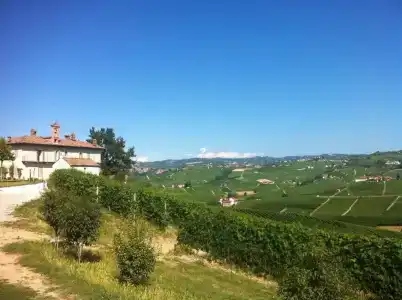 Palas Cerequio - 21