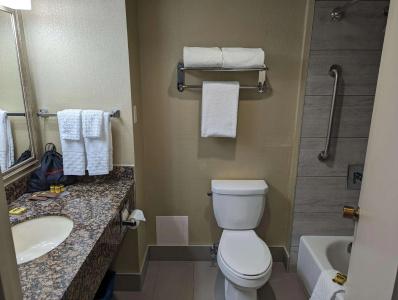 Best Western Plus Toronto Airport - 7