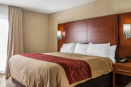 Comfort Inn Savannah - 29