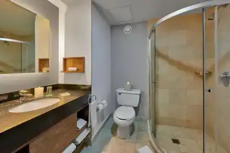 Wyndham Garden Mexico City - Polanco - 42
