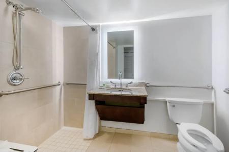 Holiday Inn Orlando – Disney Springs™ Area, An Ihg - 93