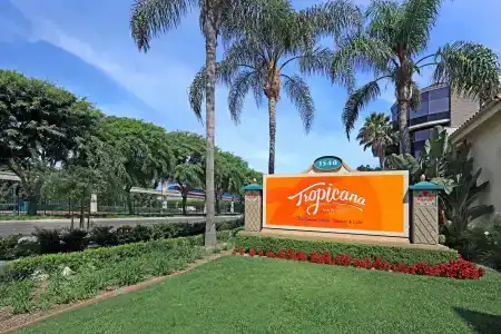 Tropicana Inn and Suites - 7