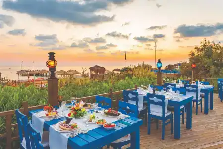 Starlight Resort - 30
