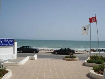 Flamingo Beach - 13