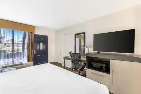 Best Western Central Inn - 49