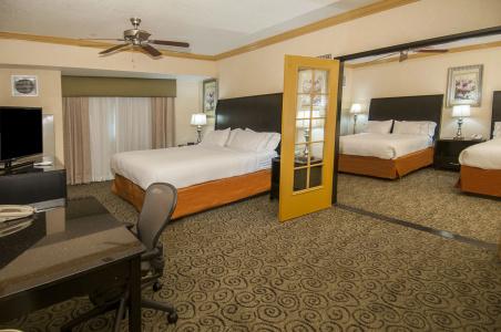 Holiday Inn Express & Suites Central - 41