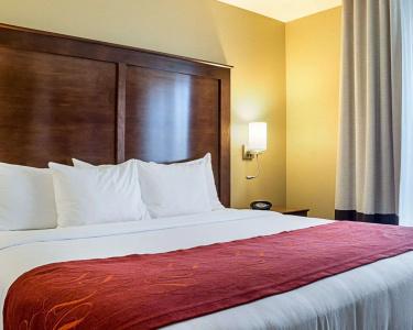 Comfort Suites Medical Center - 45