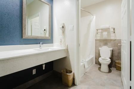 Palace Inn Tx-249 - 8