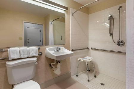 Comfort Inn & Suites North Dallas-Addison - 49