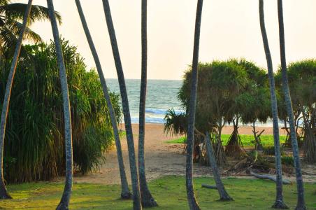 Ocean View - 14