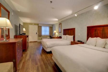 Senator Inn & Spa - 66