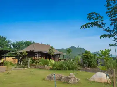 The Frog Khao Yai - 8