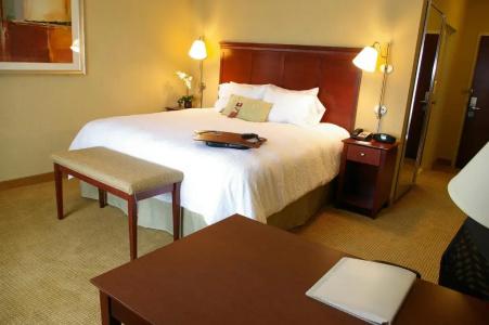 Hampton Inn & Suites I-20 - 78