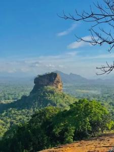 Sunshine Resort & Spa Sigiriya - 37