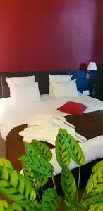 Best Western Alexander Park Chambéry - 35