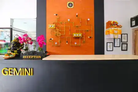 Gemini Star - 21