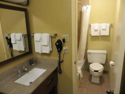 Rosen Inn Closest to Universal - 64