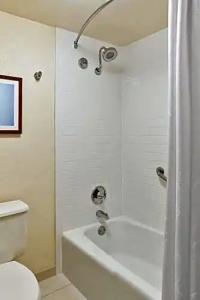 Sheraton Orlando Lake Buena Vista Resort Near Disney Springs - 56