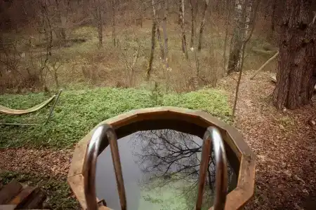Кедровый - 17