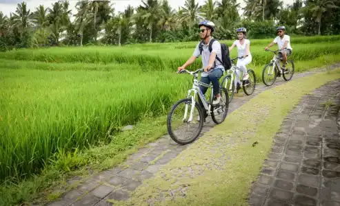 Purana Boutique Resort - 18