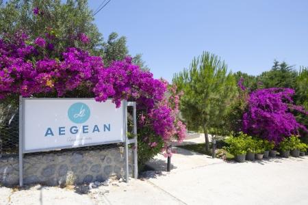 Aegean - Bungalows - 57