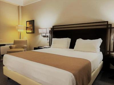Crowne Plaza Rome St. Peter's, an IHG - 37