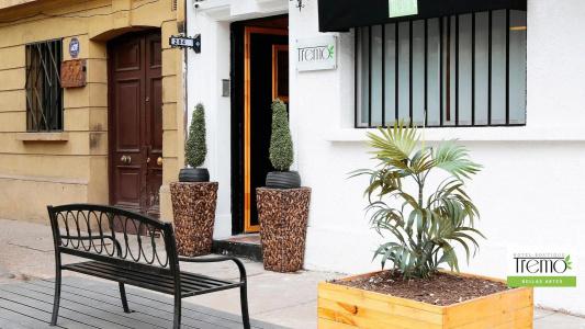 Tremo Boutique Bellas Artes - 0