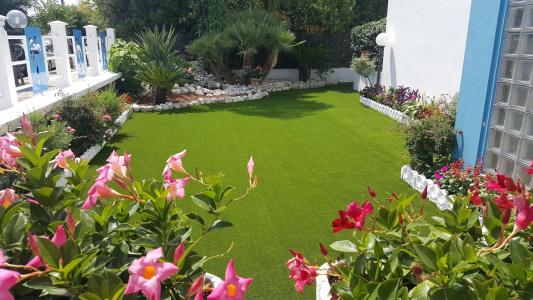 Le Palme - 9