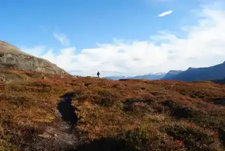 Lapphaugen Turiststasjon - 8