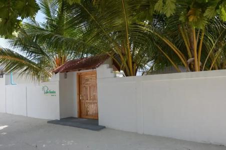 Palm Garden - 15