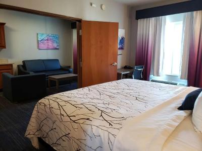 Best Western Plus San Antonio East Inn & Suites - 86