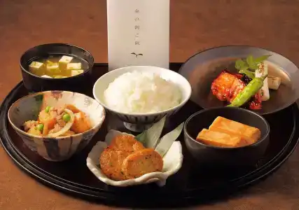 Oriental Hiroshima - 12