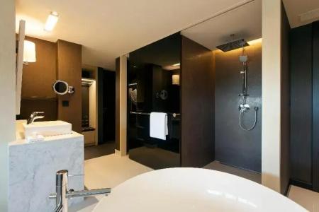 Crowne Plaza Geneva, An Ihg - 77