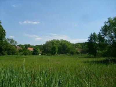 Jagdschloss Mönchbruch - 10