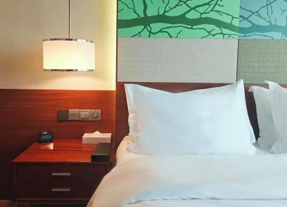 Holiday Inn Shenzhen Donghua, An Ihg - 42