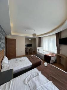 Van Diana Otel - 36